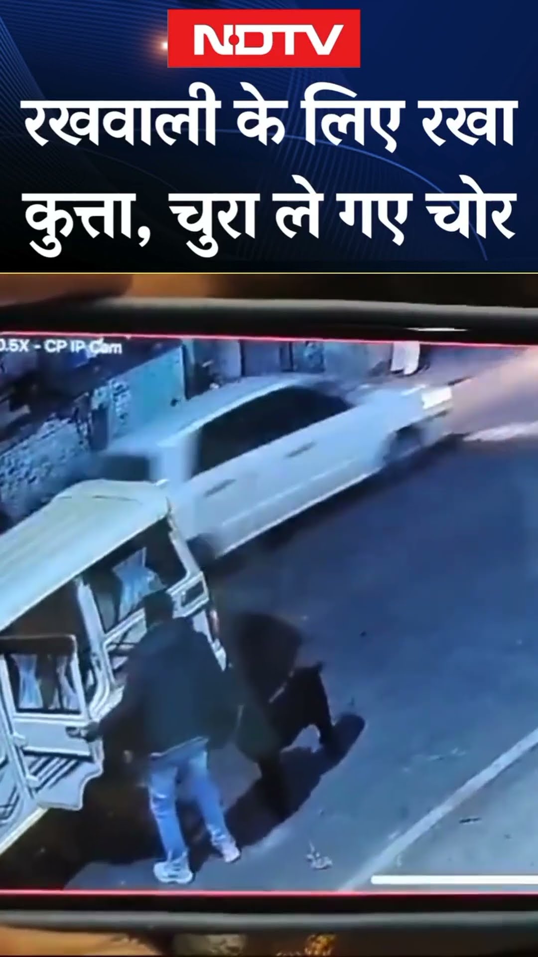 Uttar Pradesh में कुत्ते की चोरी का CCTV Video Viral | UP News | Dog News | Viral Video | SHORTS