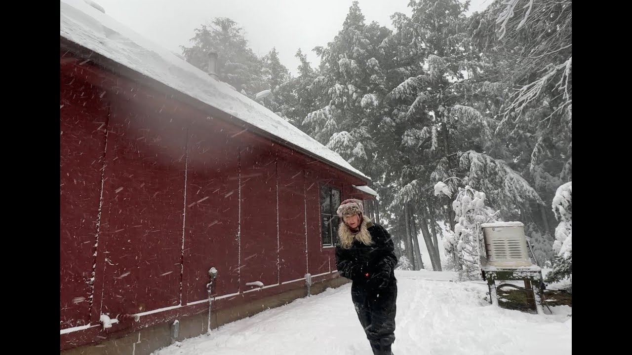 U.P. Blizzard | Clearing Snow | Raking Roof |  Deer Visits | Downed Tree