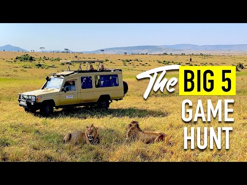 Video: Cagar Nasional Masai Mara, Kenya: Panduan Lengkap