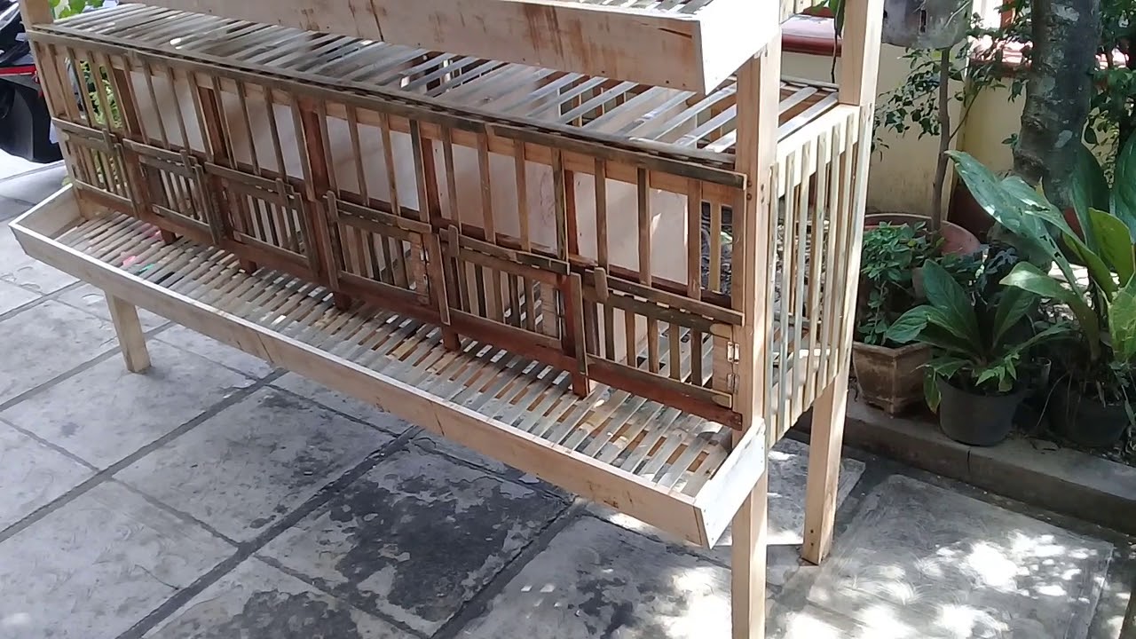 kandang ayam petelur 12 bok gandeng 