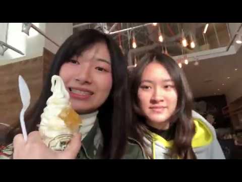 Seattle-Vancouver Road Trip #Vlog