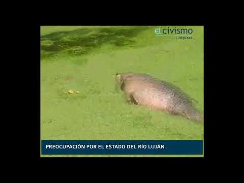 Preocupación por el río Luján