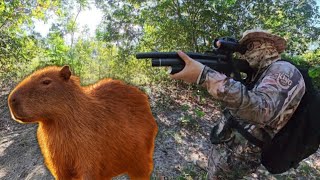 Capivara Veio No Pio! Caça Com Carabina De Pressão 