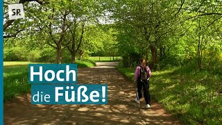 Wandern im und um das Saarland - in alten Filmen und Erinnerungen | Sellemols