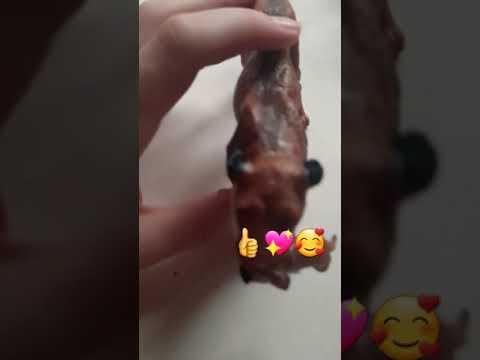 Фигурка львица