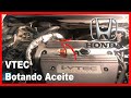 Honda VTEC Sello del Solenoide 2.4L (Botando Aceite de Motor)