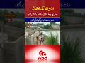 Breaking News | Flood Emergency | Flood Updates