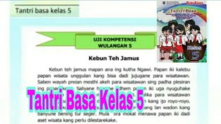 Uji Kompetensi Wulangan 5 Tantri Basa Kelas 5 | Basa Jawa