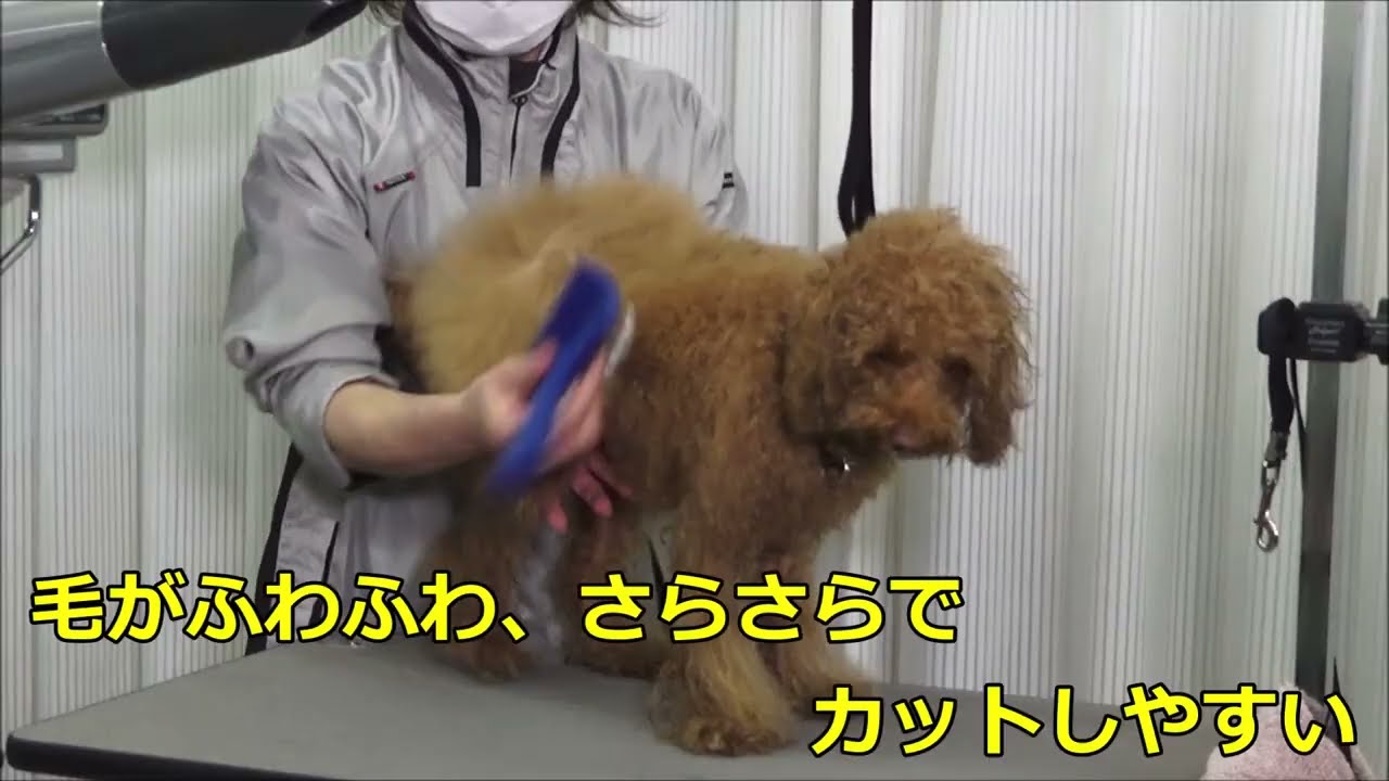 おりおん専用 オゾン水生成器 UNIZONE シャワー部品セット付き: 400｜業務用