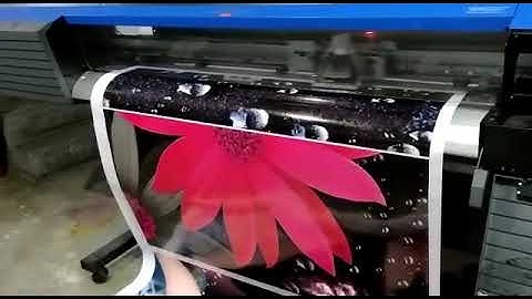 ECO SOLVENT EPSON XP600 HEAD PRINTING DX5 TO XP600 #wrap #wrapsticker #printing