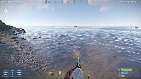 ✵Nazi✵ #MAGICRUST (Macros)