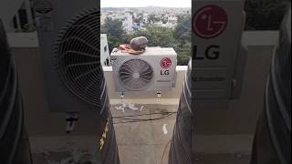 LG split AC gas charging