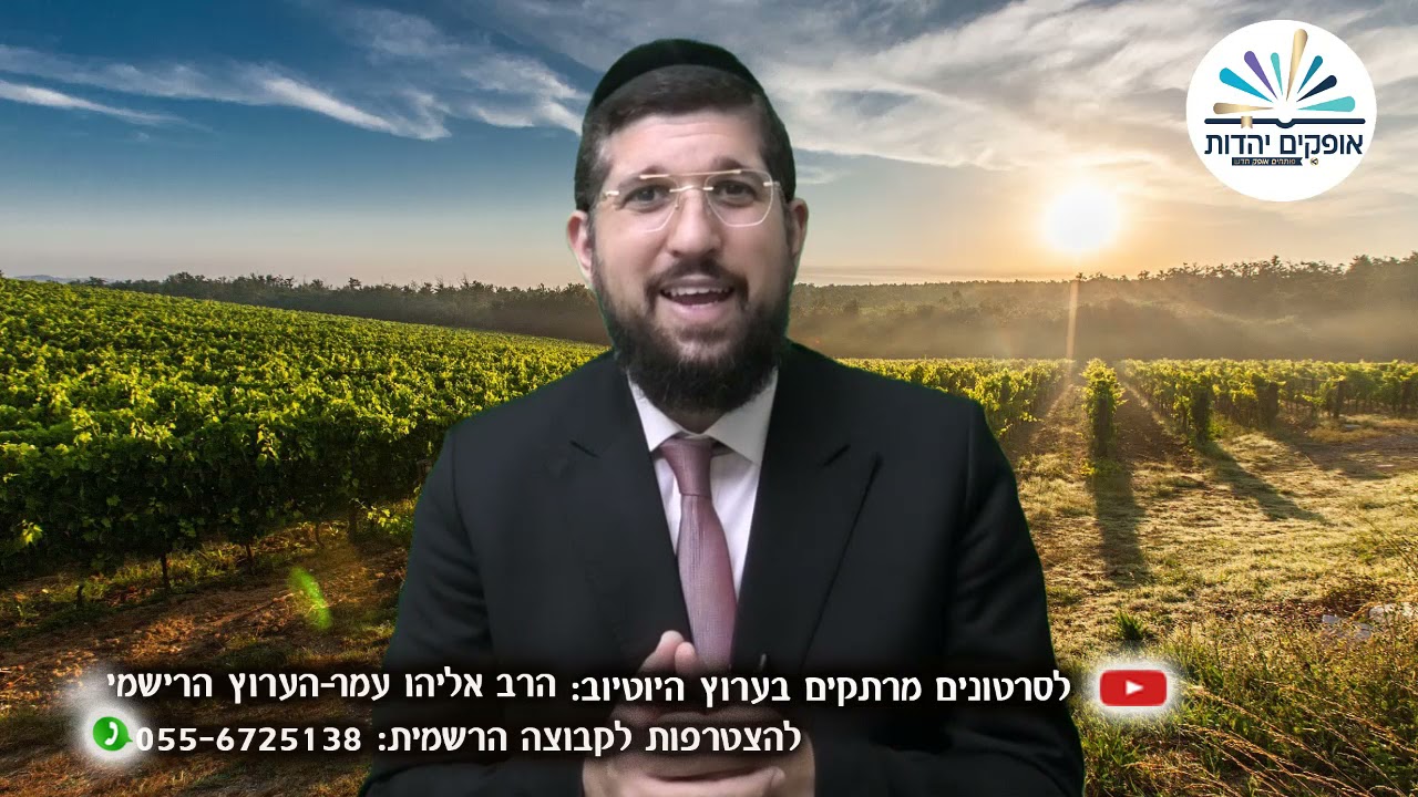 הכרם המסתורי | פרשת נח | הרב אליהו עמר