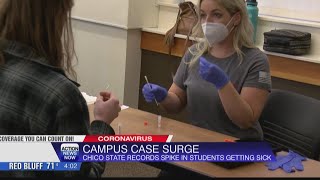Chico State sees surging COVID cases, food shortages as students return