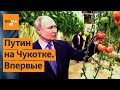 Чукотские огурцы вместо обстрелов Белгорода: что больше волнует Путина? Комментирует Леонид Гозман