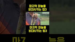 [한국농수산TV] 마지막 마늘의 비대관리는 이렇게 하세요!! 슈퍼농부의 꿀팁!!