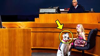 Little Girl Signals Her Dog. Judge Notices And Stops Court When Dog Reacts