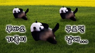 뒹굴뒹굴 푸바오 (뒹굴뒹굴 송) - 구르는 판다, 동요 노래