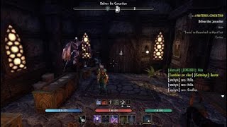The Elder Scrolls Online damage stamina poison IX