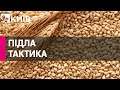 Туреччина купує вкрадене росією українське зерно