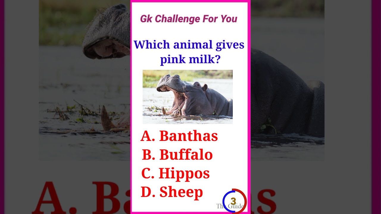 English Gk Questions Quiz General Knowledge 8