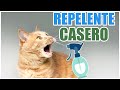 Como hacer repelente casero para #Gatos