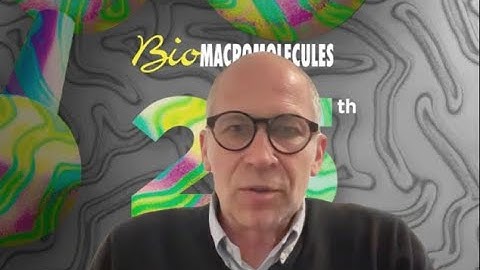How Synthetic Polymers Could Help Us Understand Life Itself: Insights from Prof. Lecommandoux