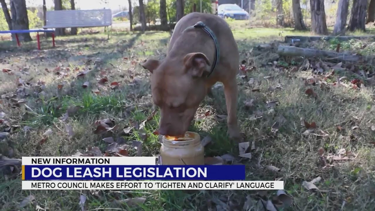 Proposed changes to dog ordinance a ‘first step’ to tackling issues, Metro council member says