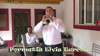 O sârbă  frumoasă cu formația Elvis Turchis din Drăgușeni