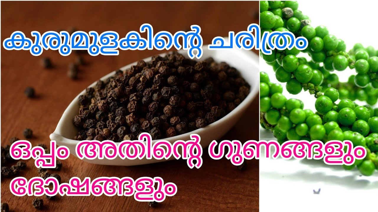 ഗാമയെ കേരളത്തിലേക്ക് ആകർഷിച്ച സുഗന്ധവ്യഞ്ജനം Black pepper History