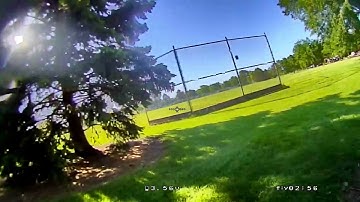 shark byte testing behind thick trees