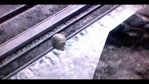 some weird ass thing i found in fallout 3