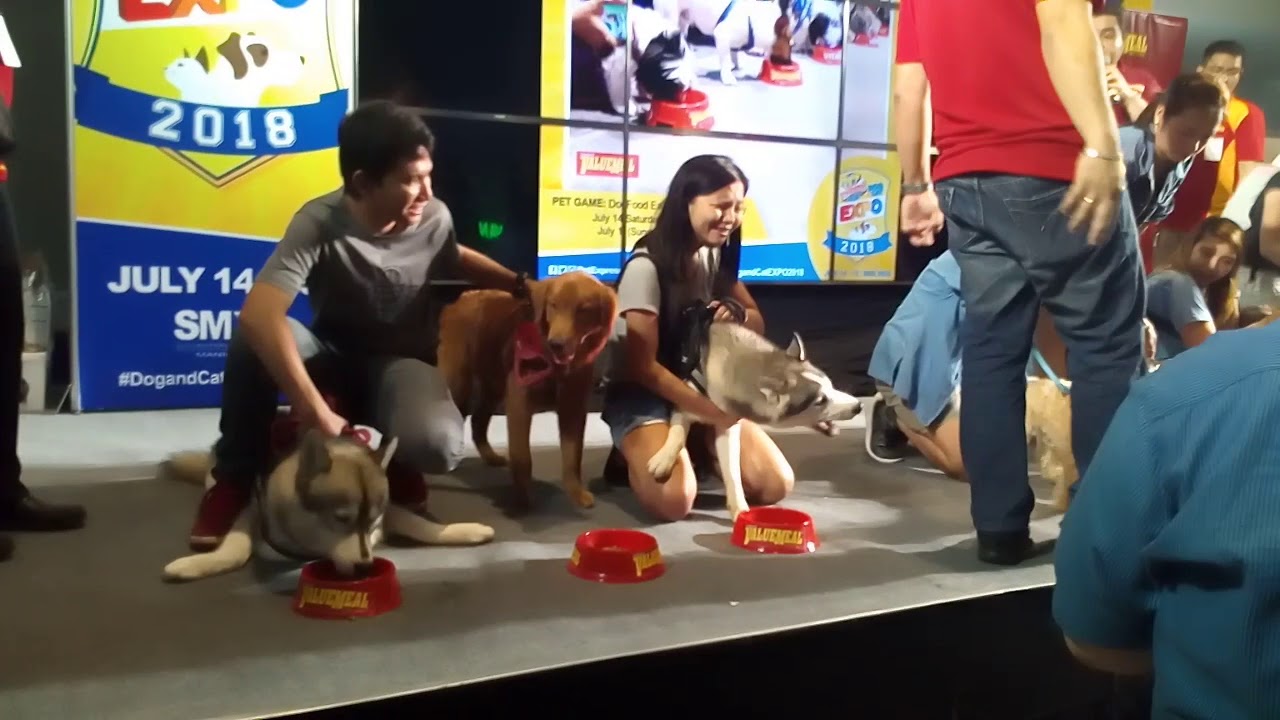 Vitality ValueMeal Dog Food Eating Contest at the Pet Express' Dog and