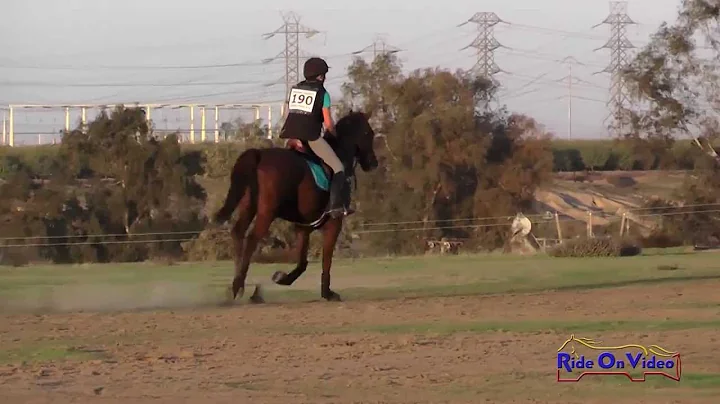 190XC Linda Betts on Willing Accomplice SR Beginne...