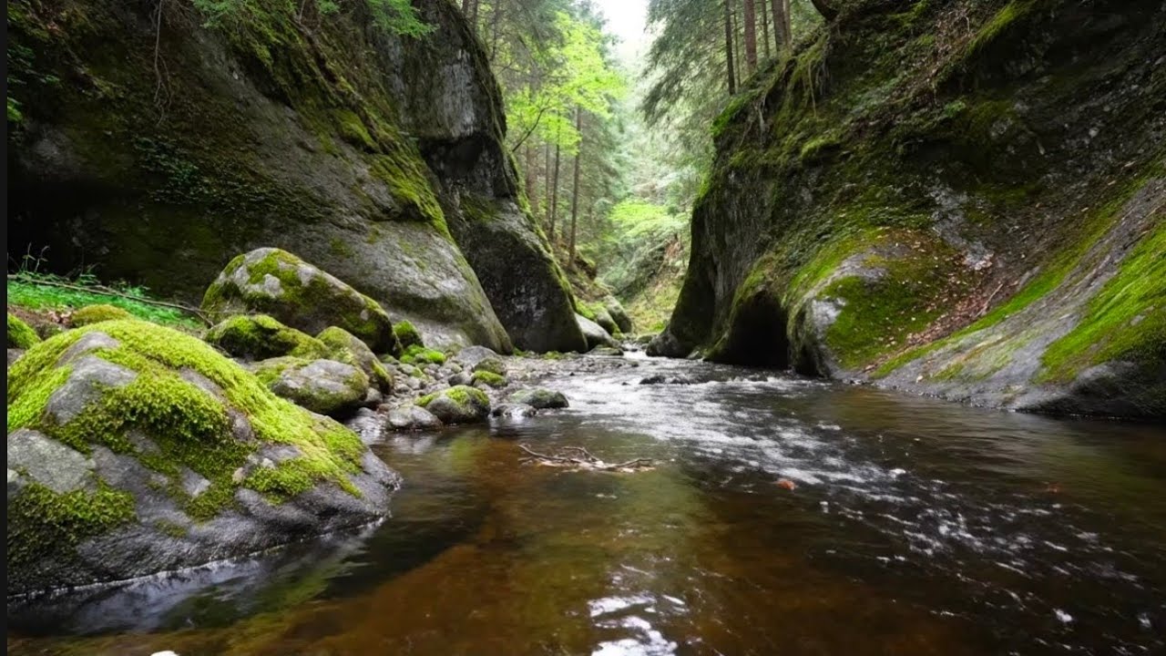 Natural River Sounds for Calm, Relaxation & Focus | Gentle Flowing Water Nature Ambience