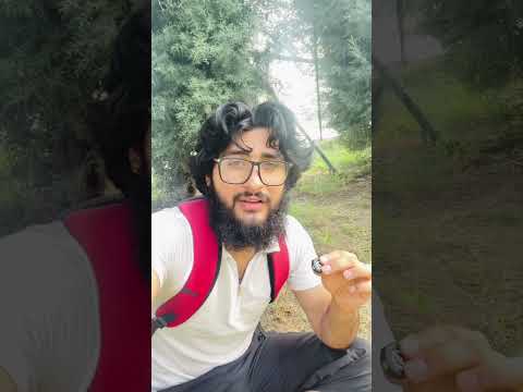 What Is The Difference Between Tawakkal And Tawaaakul