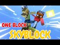 DEVO SOPRAVVIVERE CON UN SOLO BLOCCO ?!😱 ONE BLOCK SKYBLOCK MINECRAFT