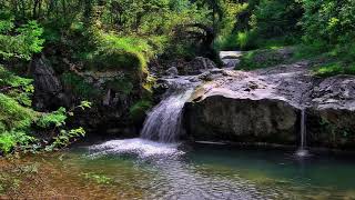 Pause(Interlude) - Dietrich Fischer-Dieskau: with Lyrics(가사번역) || 휴지(休止), 아름다운 물방앗간 아가씨 No. 12