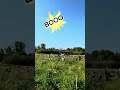 Rachele e il picnic con insta360go3 link in bio insta360 insta360 adv rachele