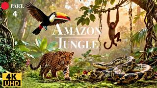 Download Lagu Amazon Jungle 4K: Colorful Birds, Hidden Wildlife with Relaxing Music MP3
