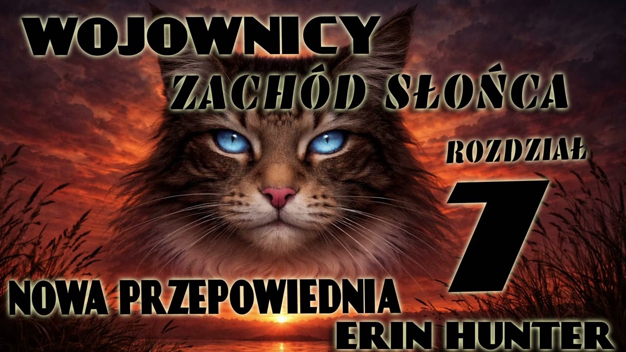 WOJOWNICY, NOWA PRZEPOWIEDNIA : ZACHÓD SŁOŃCA ,OPOWIEŚĆ O KOTACH DLA DZIECI I MŁODZIEŻY FANTASY,KOTY
