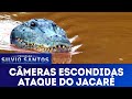 Ataque do Jacaré - Crocodile Attack Prank | Câmeras Escondidas (24/03/19)