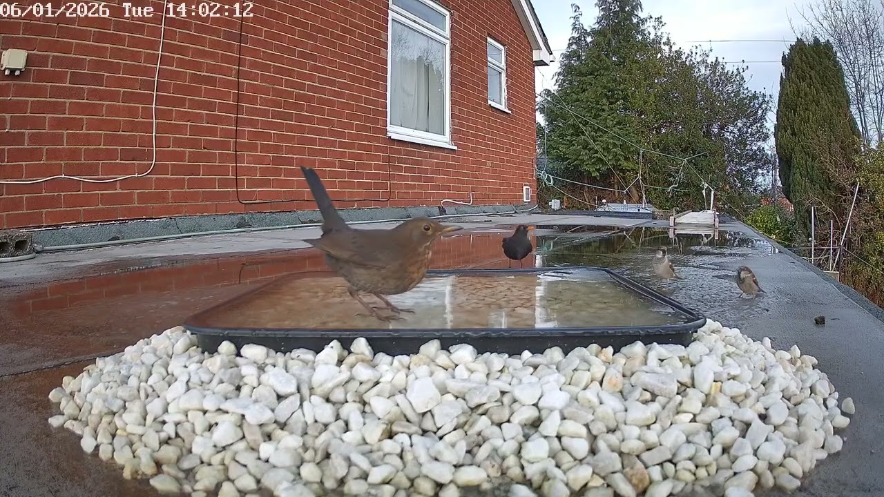 Dancing on ice, 6th January 2026