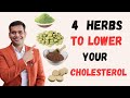 4 Herbs To Lower Your Cholesterol  | Natural Treatment Of High Cholesterol