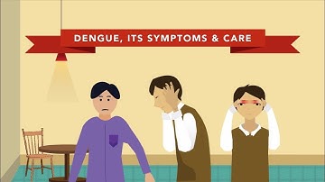 The Symptoms of Dengue