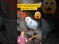 Akhi kbutaro ke sath kya hua 😭😭,#pigeon #pigeonhouse #shorts #short #pets #animals #pigeonlove