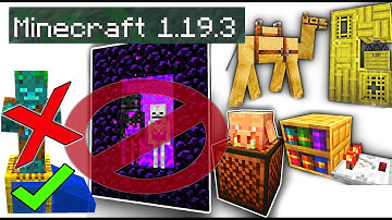 Watch this BEFORE playing 1.19.3 Minecraft