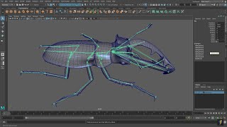 Let's Rig a Beetle in Maya! part 01