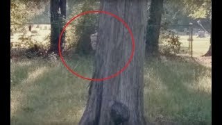 6 СТРАШНЫХ И РЕАЛЬНЫХ ПРИЗРАКОВ СНЯТЫХ НА КАМЕРУ 6 СТРАШНЫХ И РЕАЛЬНЫХ ПРИЗРАКОВ СНЯТЫХ НА КАМЕРУ
