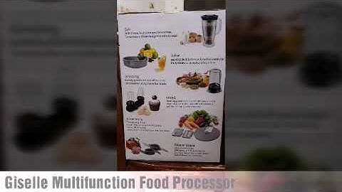 Giselle Multifunction Food Processor (YF-503L)